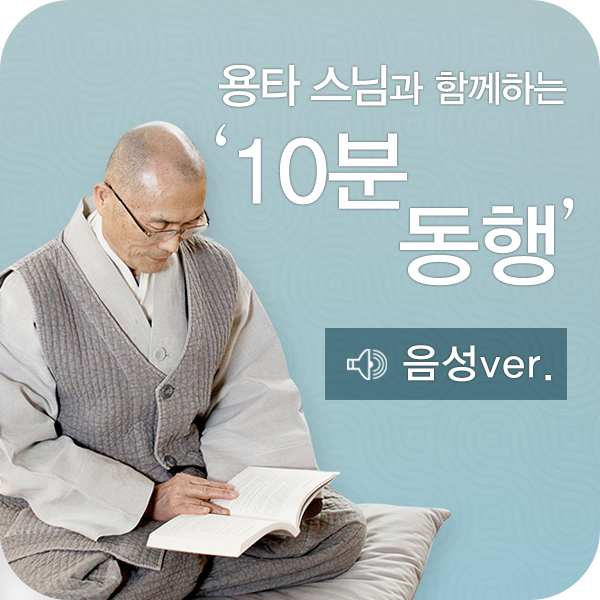 수련 3박자